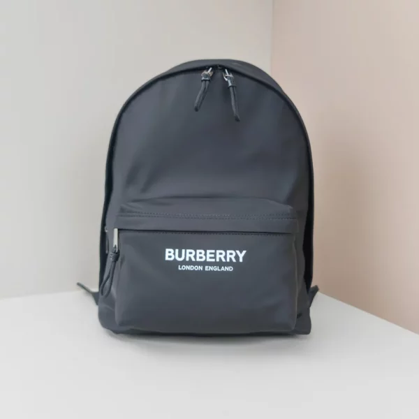 Burberry bag - rep bags