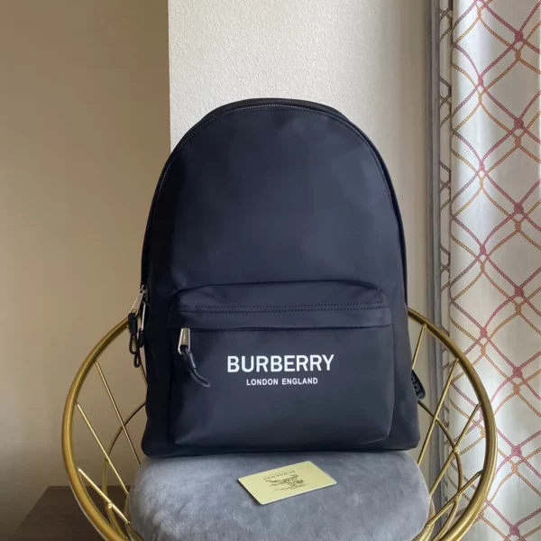 Burberry bag - rep bags