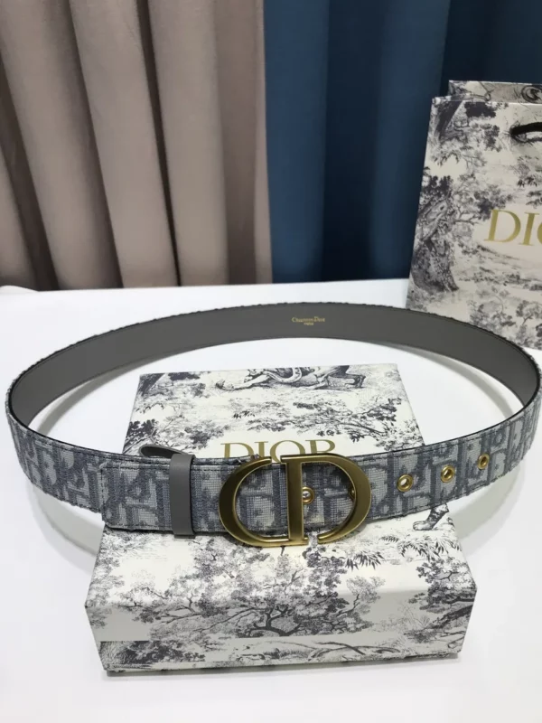 Dior belt