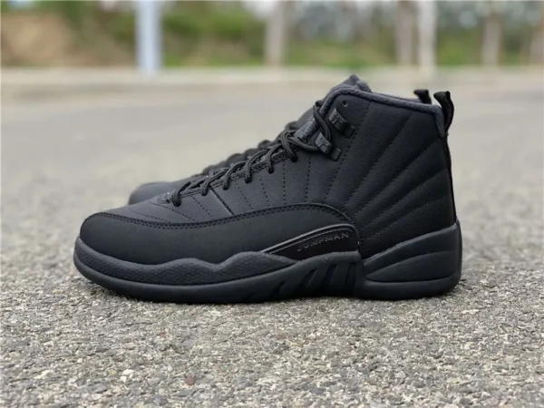 Air Jordan 12 Winterized - 2018-12-24 - Replica shoes