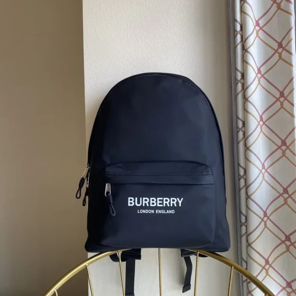 Burberry bag - rep bags