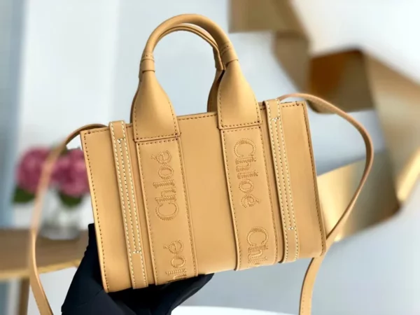 Chloe bag - rep bags