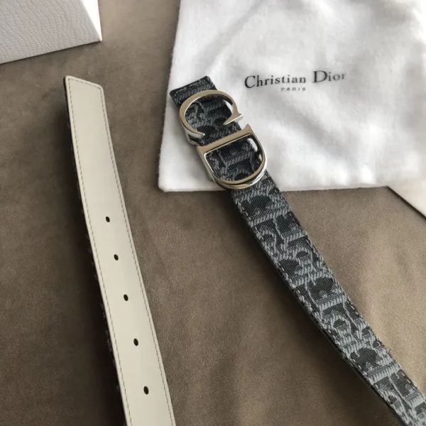 Dior belt