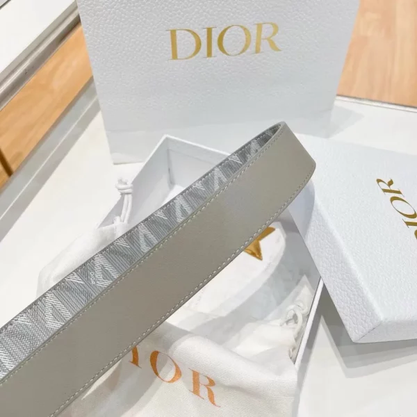 Dior belt