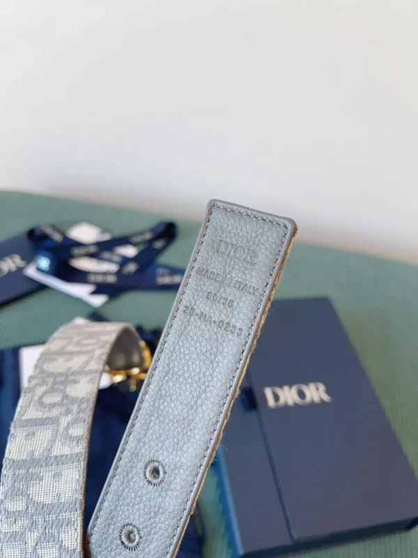 Dior belt