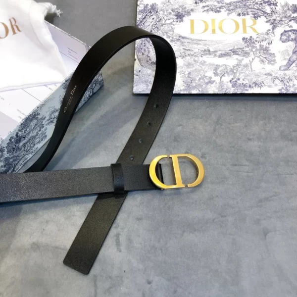 Dior belt