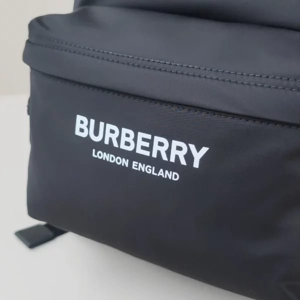 Burberry bag - rep bags