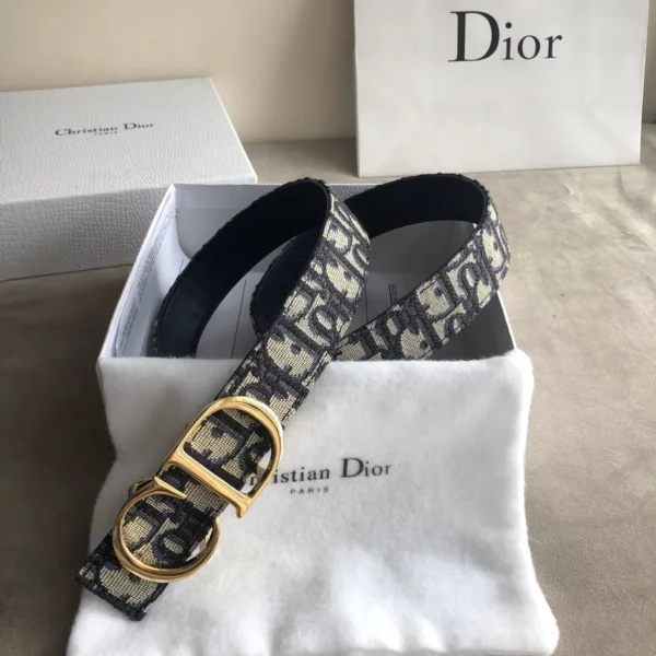 Dior belt