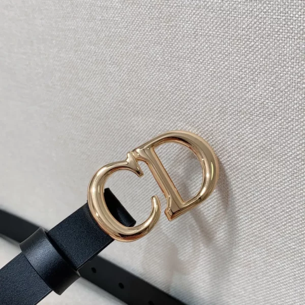 Dior belt