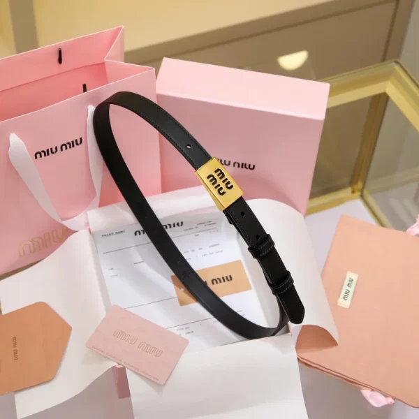 MiuMiu belt