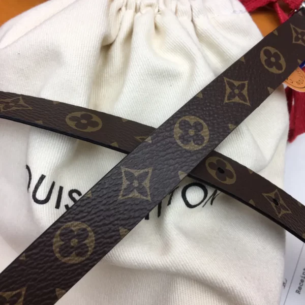 Louis Vuitton belt