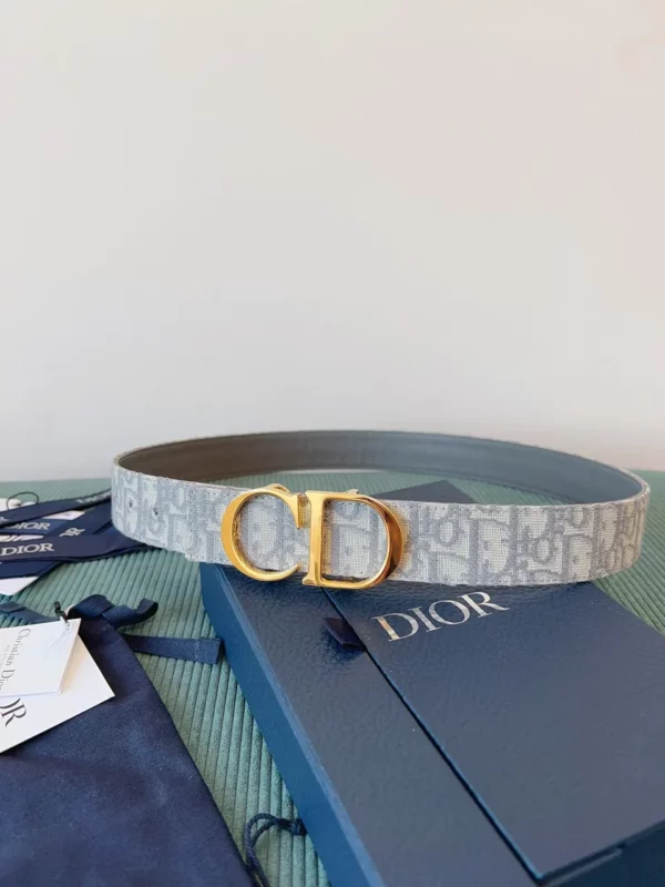 Dior belt