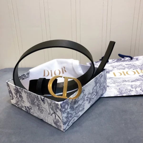 Dior belt