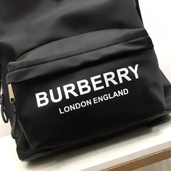 Burberry bag - rep bags