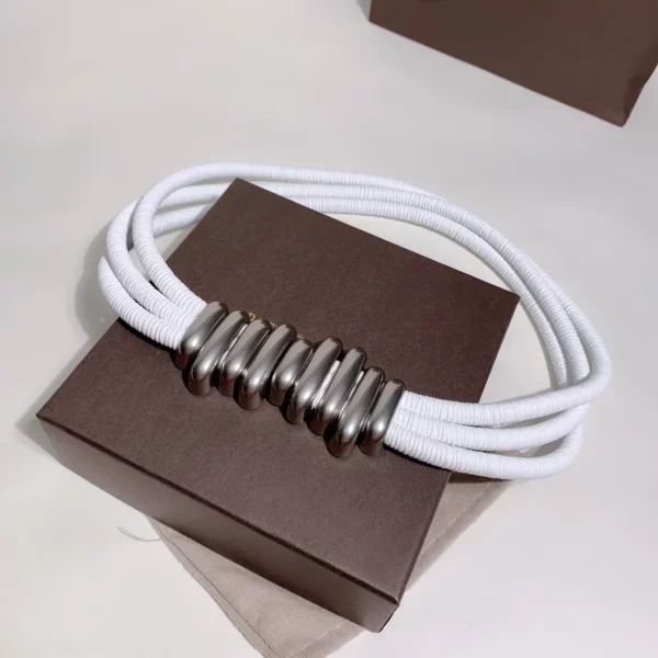 Bottega Veneta belt