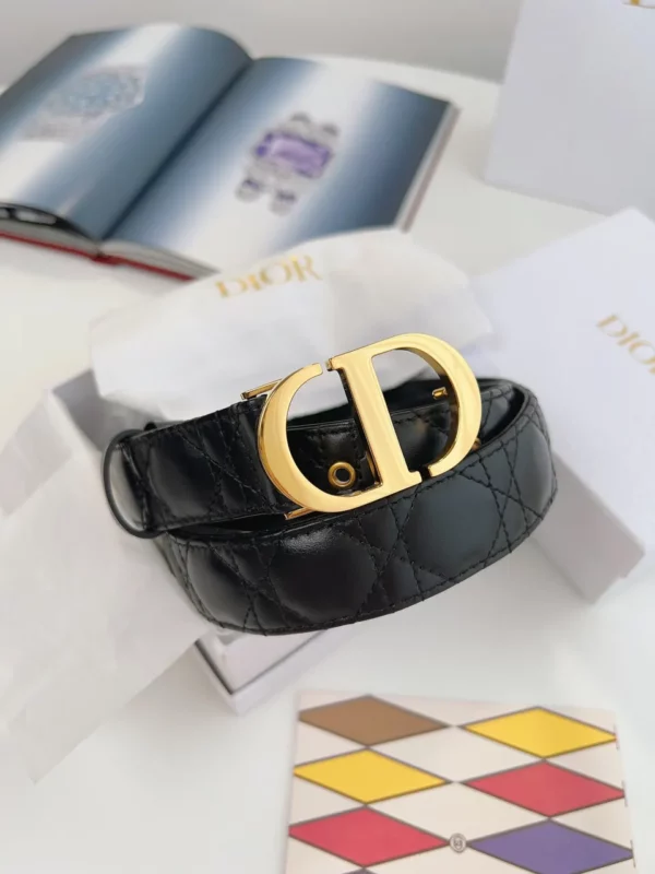 Dior belt