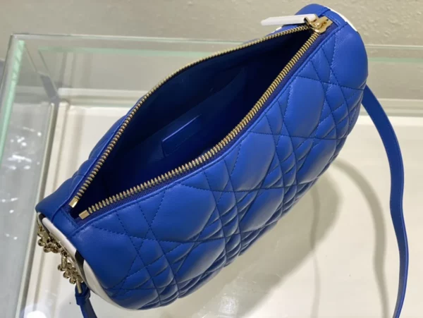 Dior bag - replica dior bags