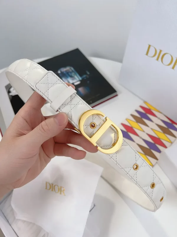 Dior belt