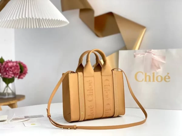 Chloe bag - rep bags