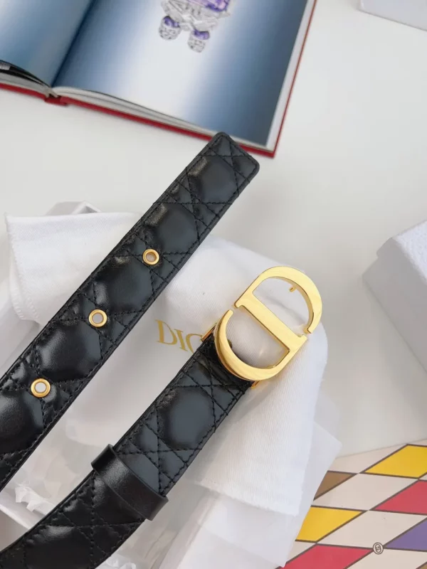 Dior belt