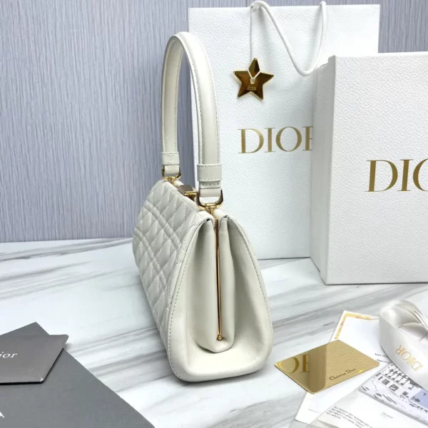 Dior bag - replica dior bags