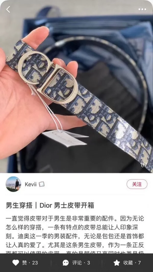 Dior belt