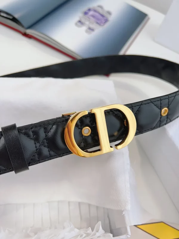 Dior belt