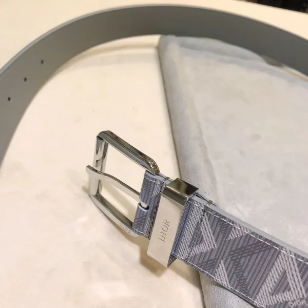 Dior belt