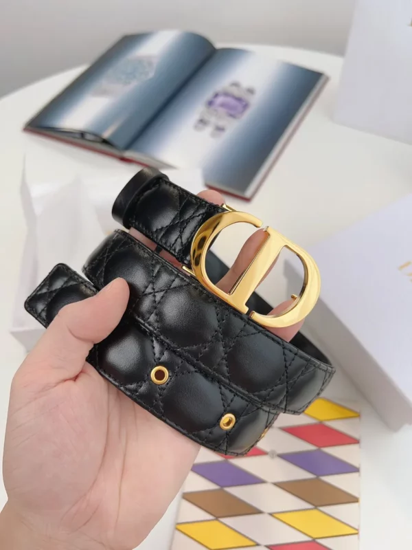 Dior belt