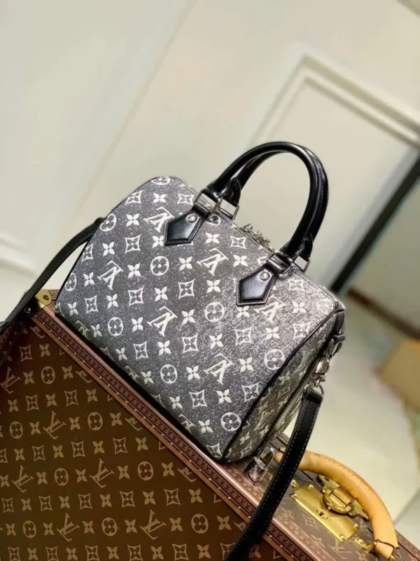 Louis Vuitton bag - louis vuitton replica bags