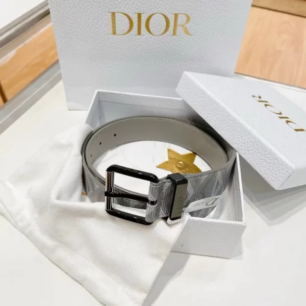 Dior belt