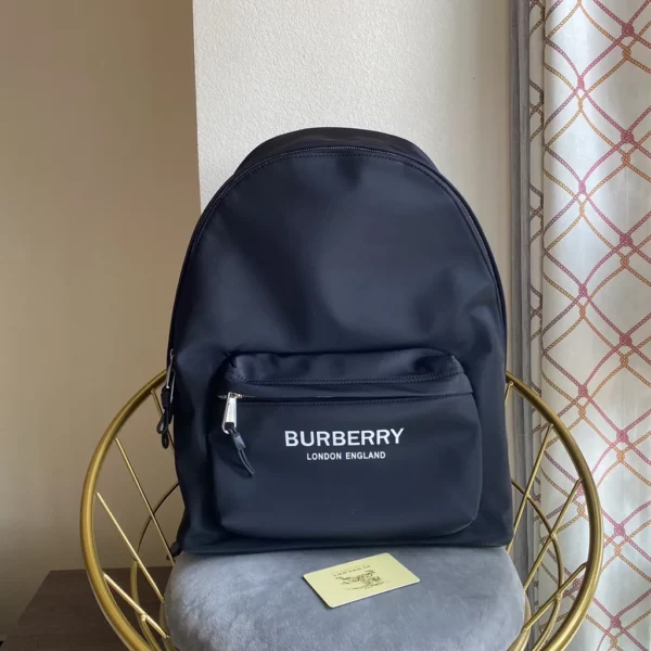 Burberry bag - rep bags