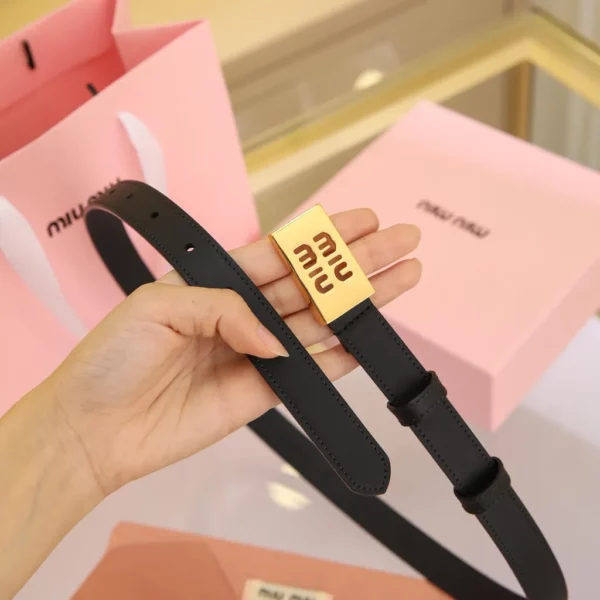 MiuMiu belt