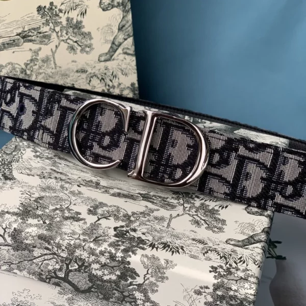 Dior belt