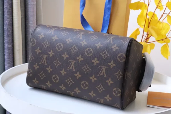 Louis Vuitton bag - louis vuitton replica bags