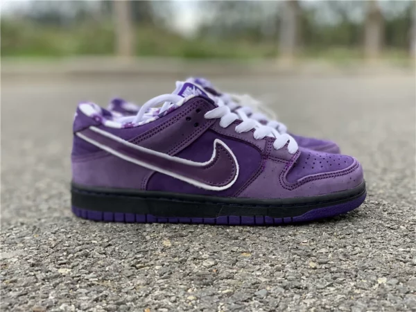 Nike SB Dunk Low Pro QS CNPTS - Replica shoes