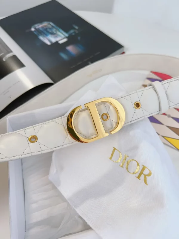 Dior belt