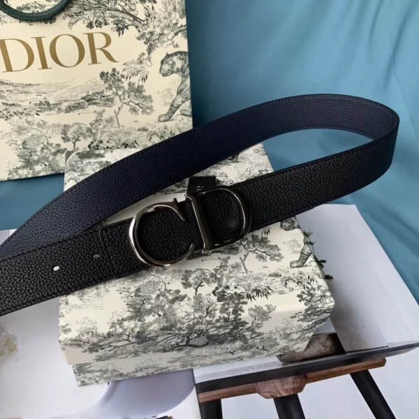 Dior belt