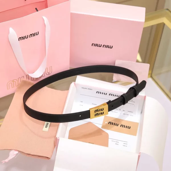 MiuMiu belt