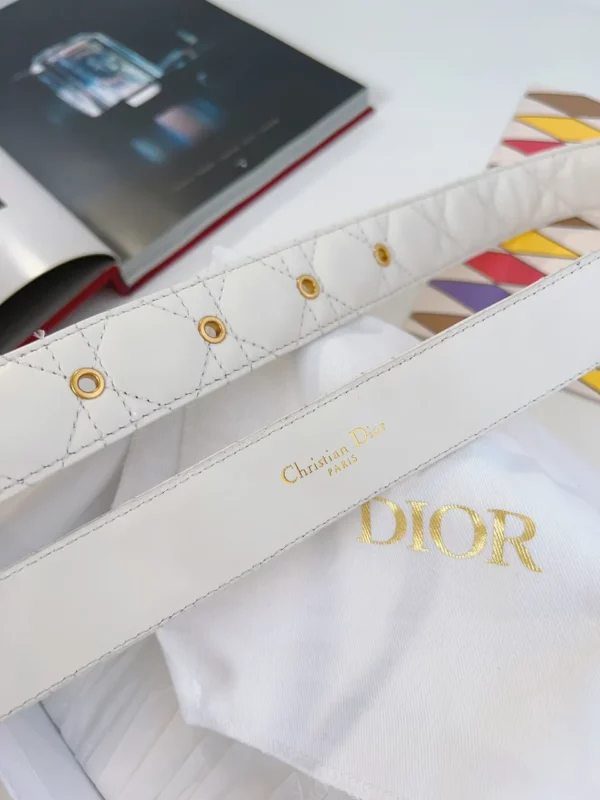 Dior belt