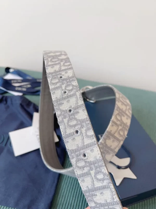 Dior belt