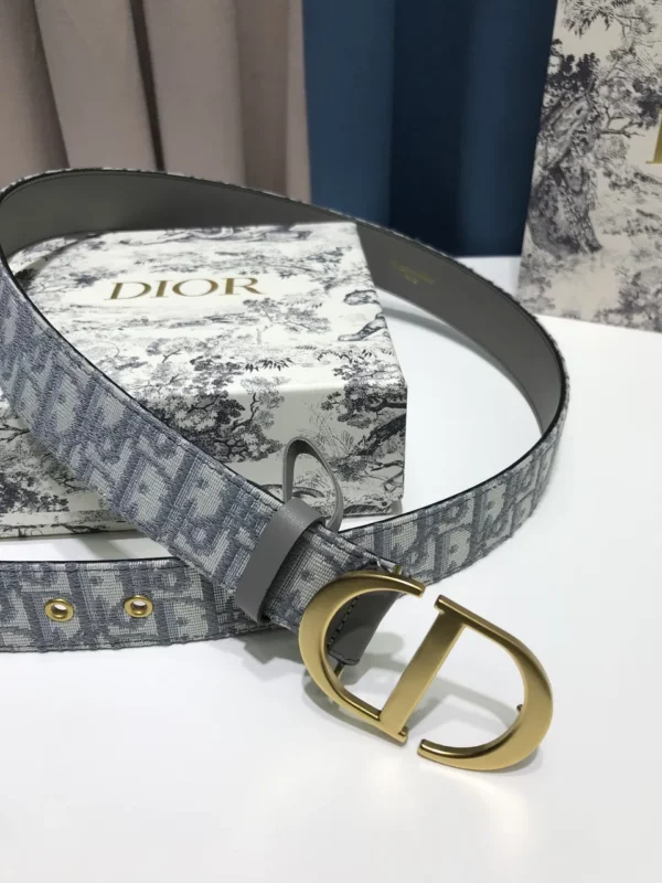 Dior belt