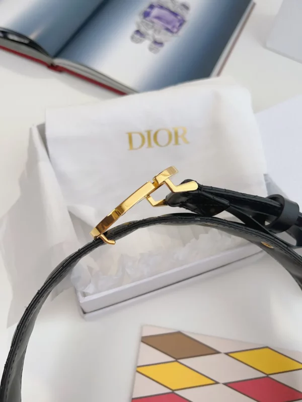 Dior belt