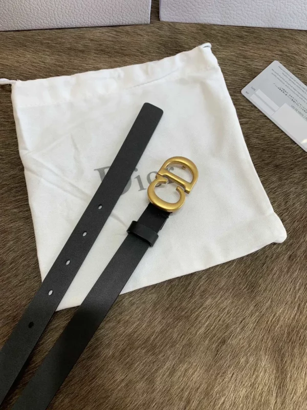 Dior belt