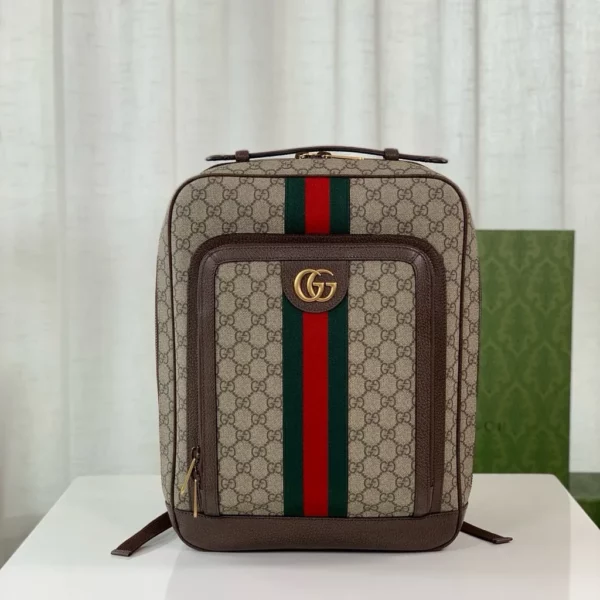 Gucci bag - rep bags