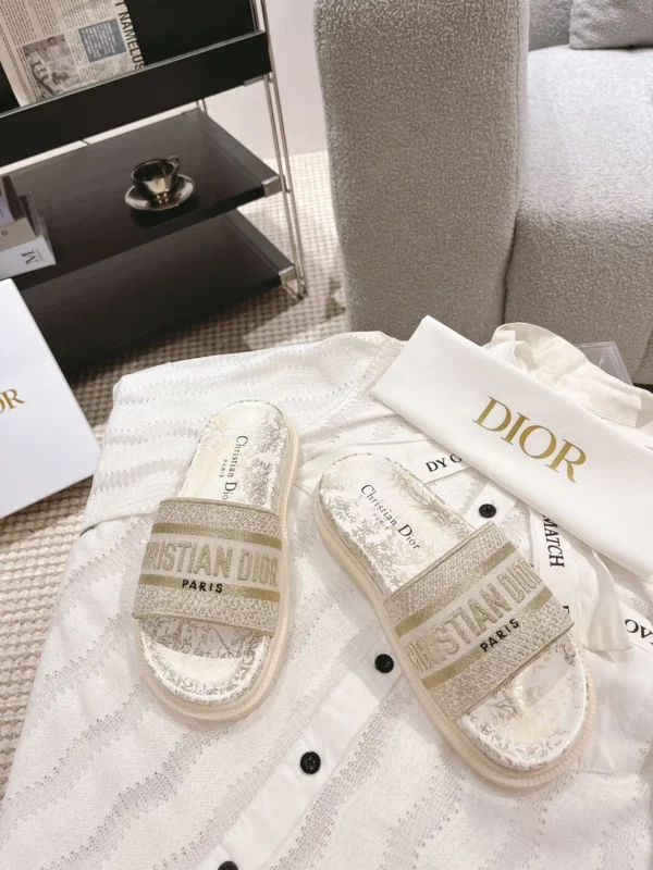 Dior shoes - rep shoes