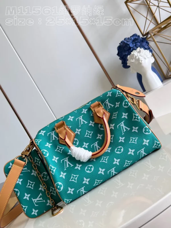 Louis Vuitton bag - louis vuitton replica bags