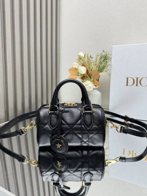 Dior bag - rep bags