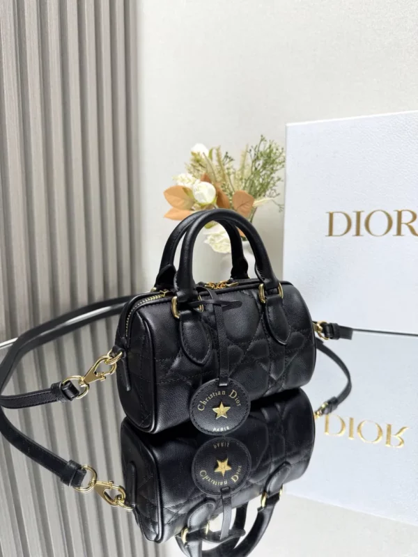 Dior bag - rep bags